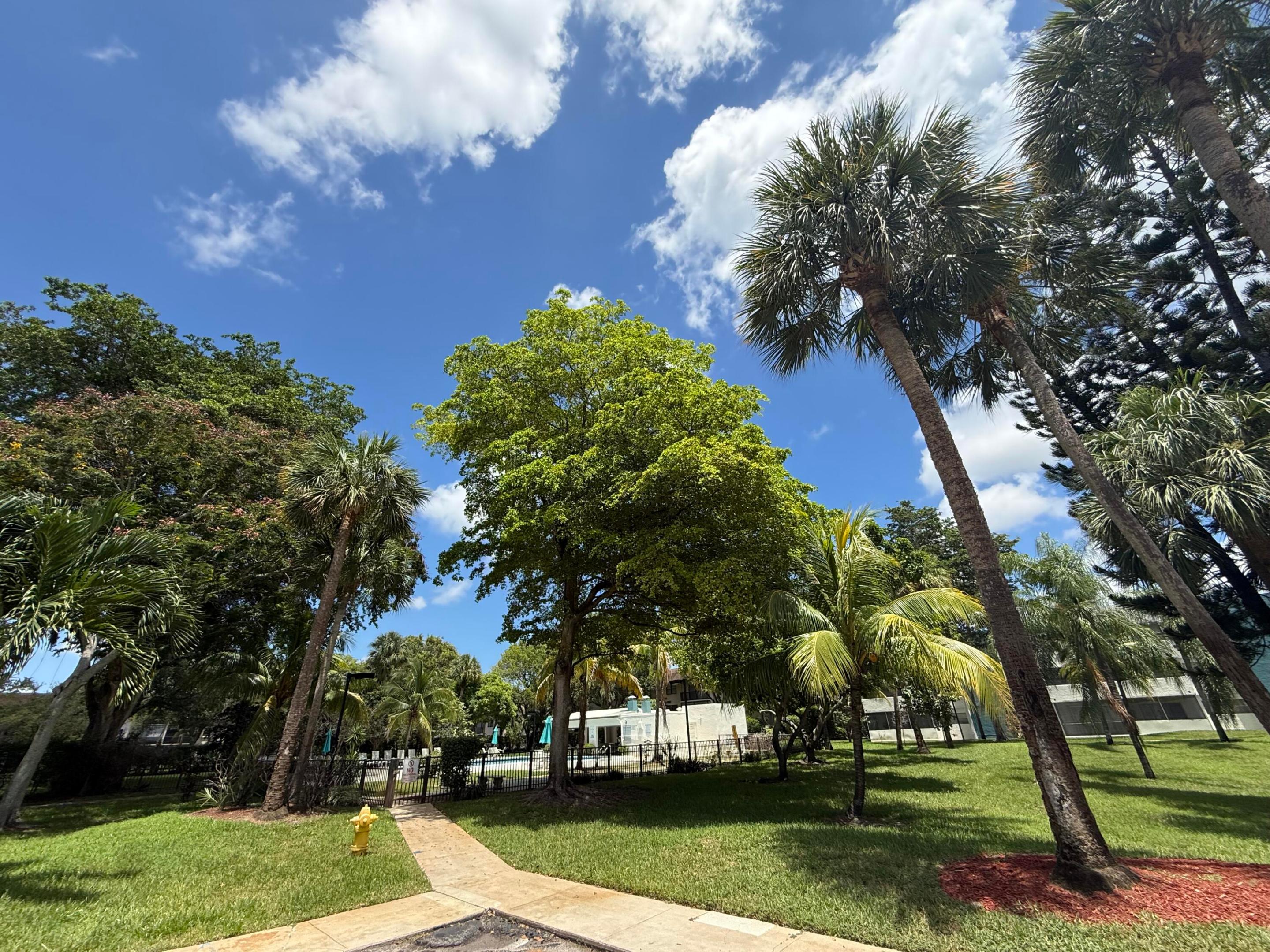 5155 E Sabal Palm Boulevard 209 Property Photo 33