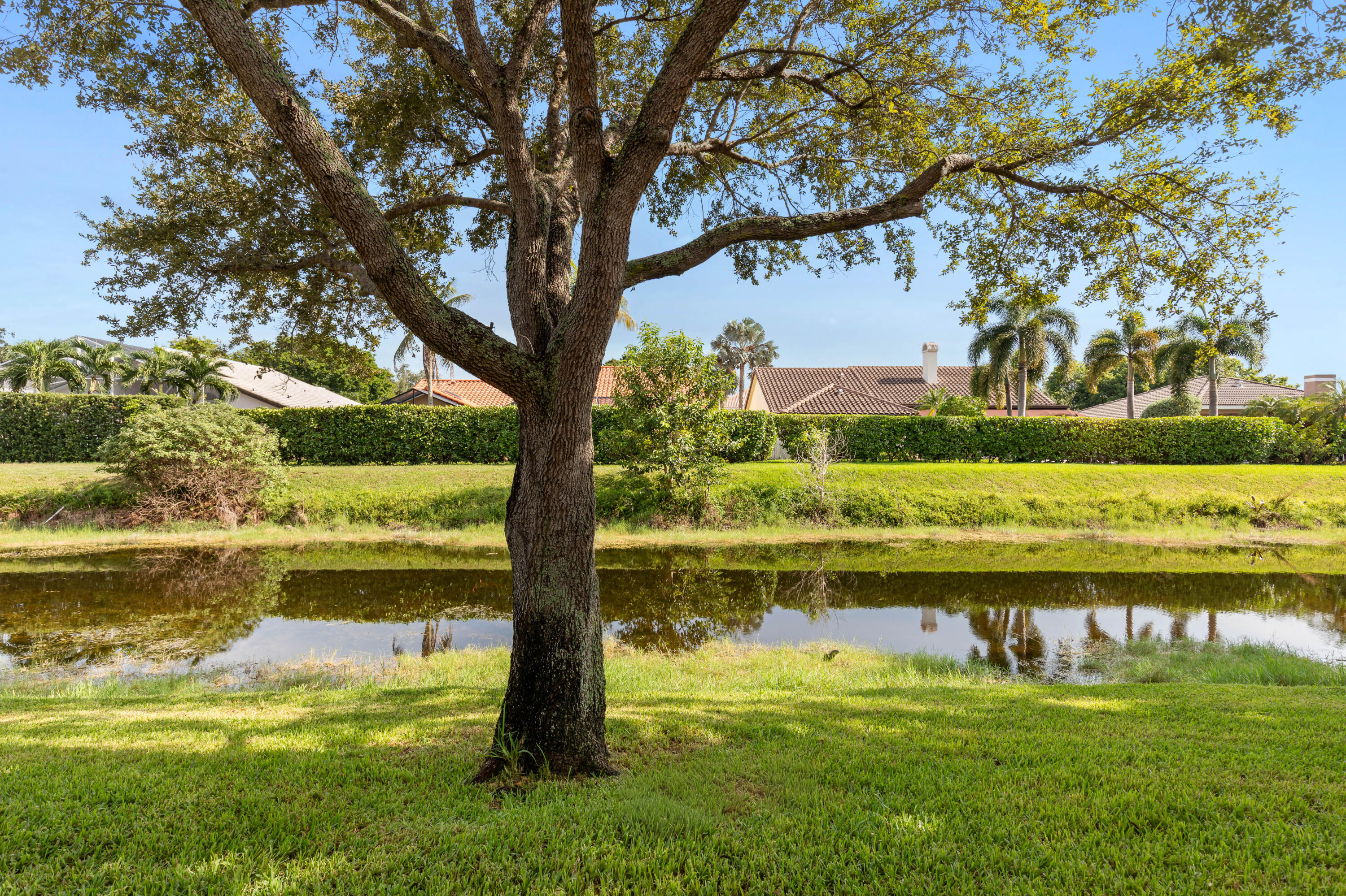 11912 Royal Palm Boulevard Property Photo 33