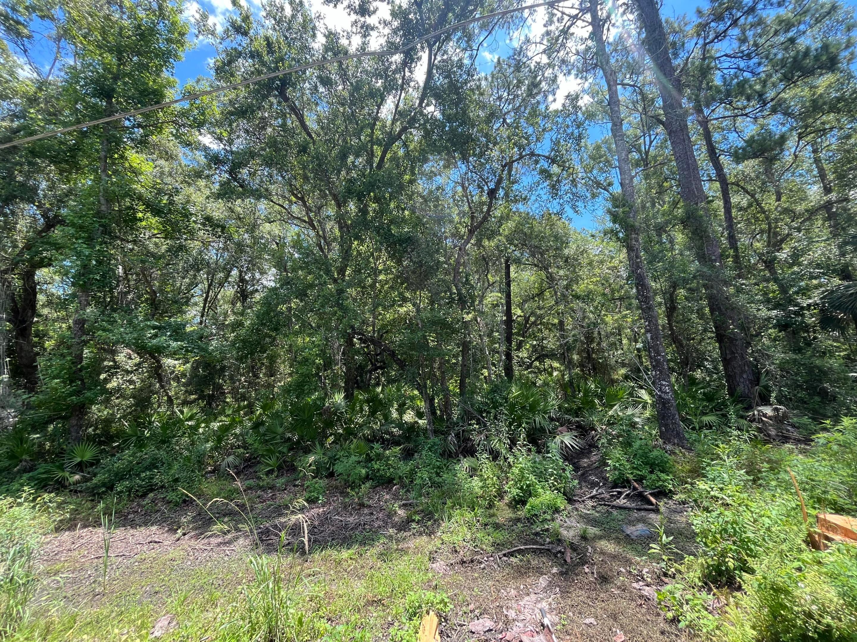 Tbd Franklin Drive Property Photo 1