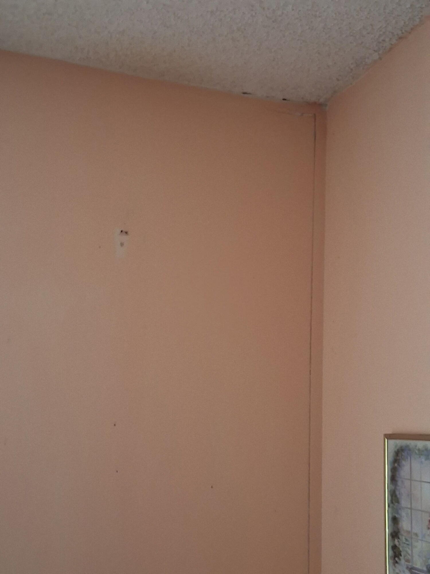 230 Peake Street Ne Property Photo 6
