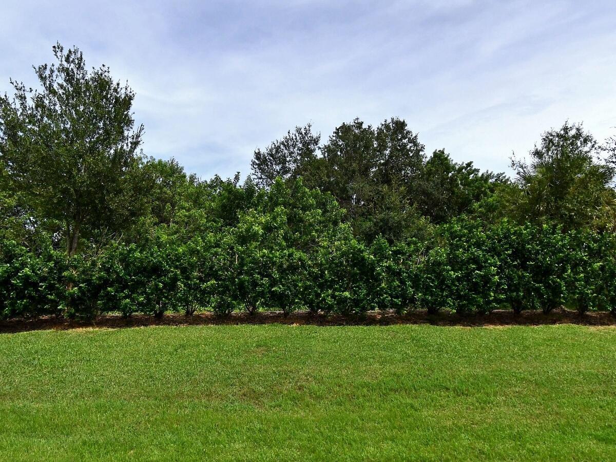 4341 Winding Place Property Photo 1