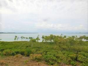 27 HARBOUR ISLE Drive W 305 Property Photo 1