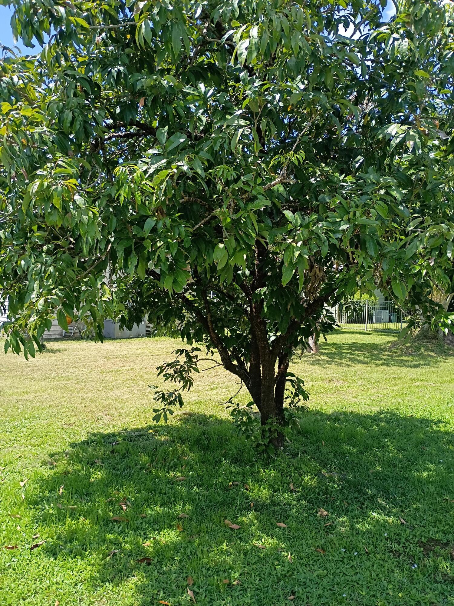 2788 Sw Thunderbird Trail Property Photo 106