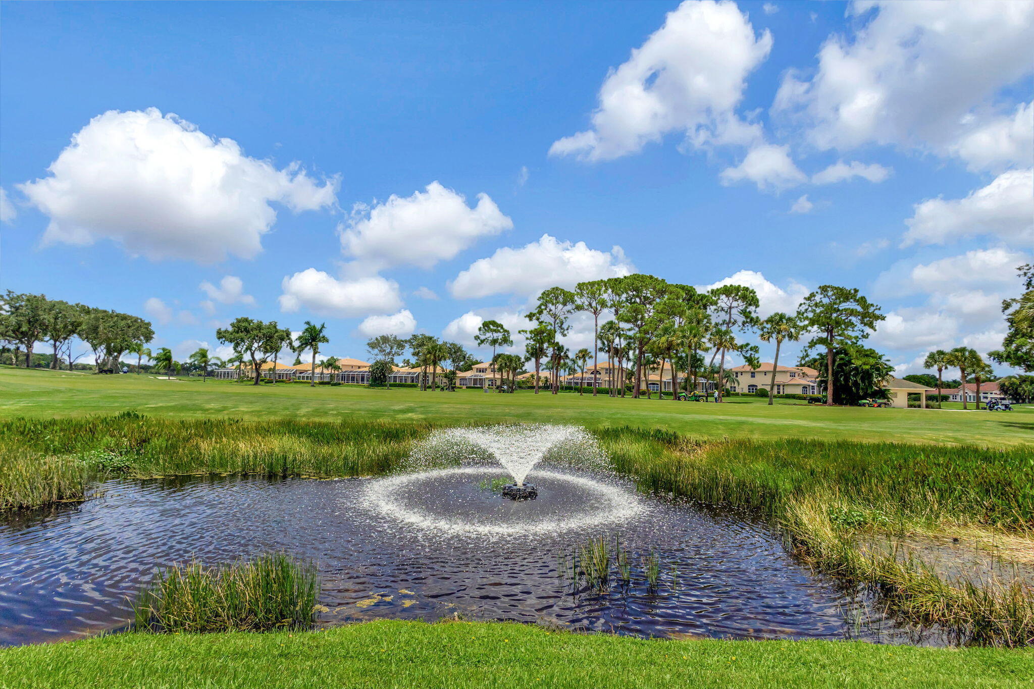523 Prestwick Circle Property Photo 32