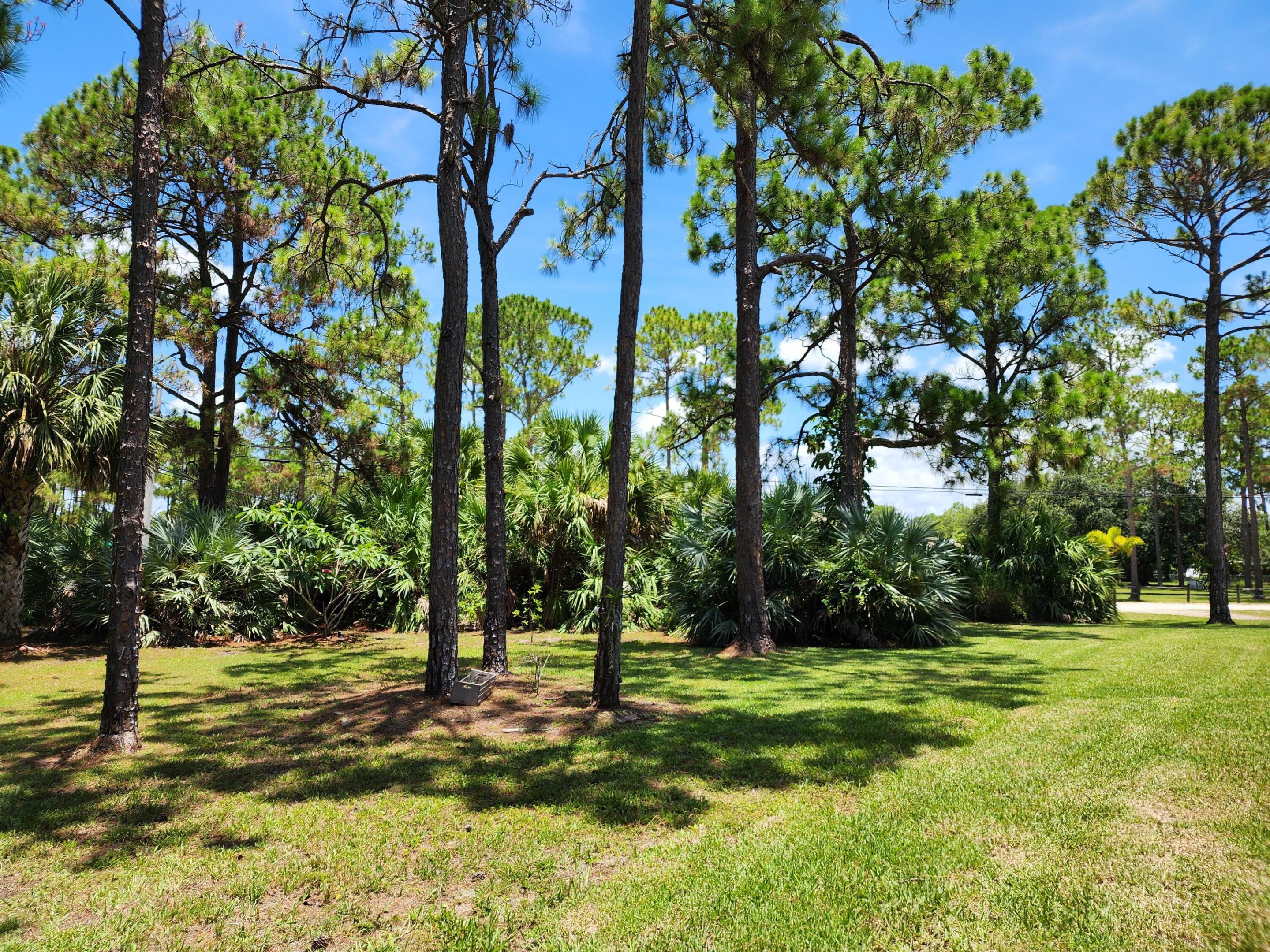 13438 49th Street N Property Photo 33