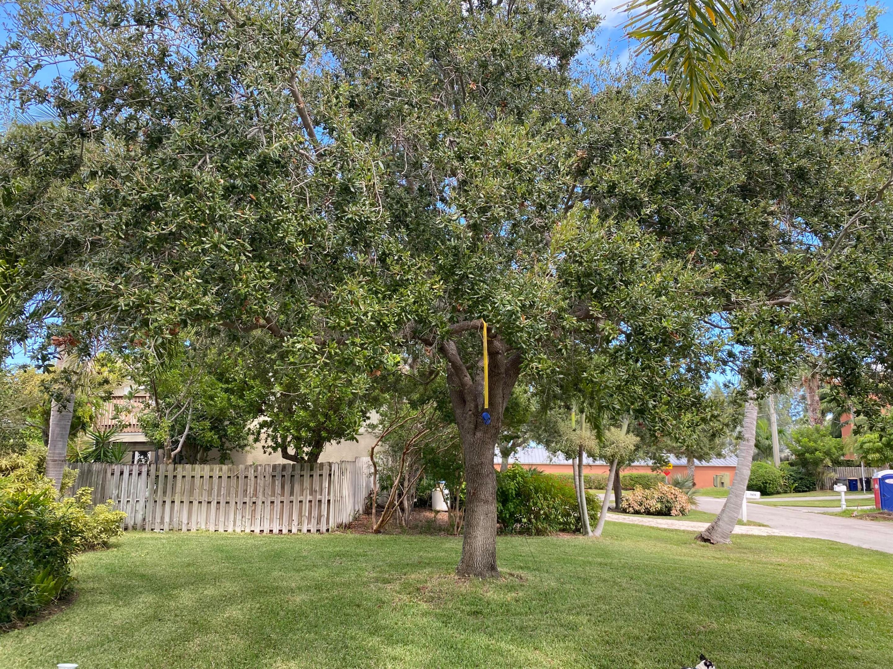 1672 Thumb Point Drive Property Photo 28