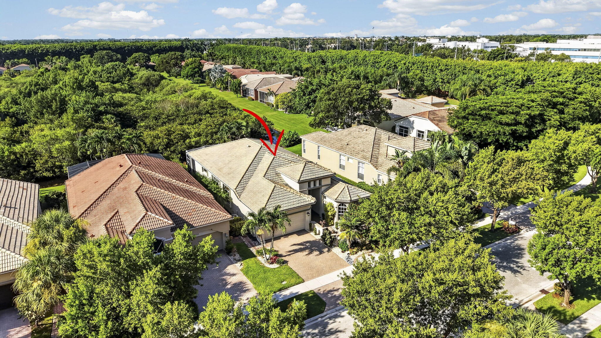 9902 Via Elegante Property Photo 61