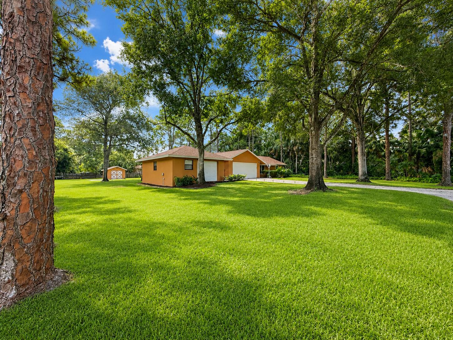 17212 130th Avenue N Property Photo 5