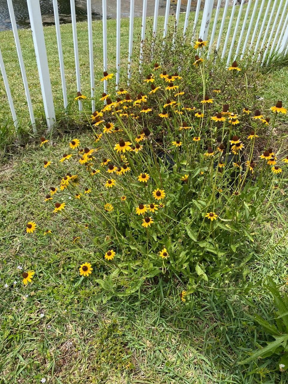 4080 Sea Grape Circle Property Photo 14