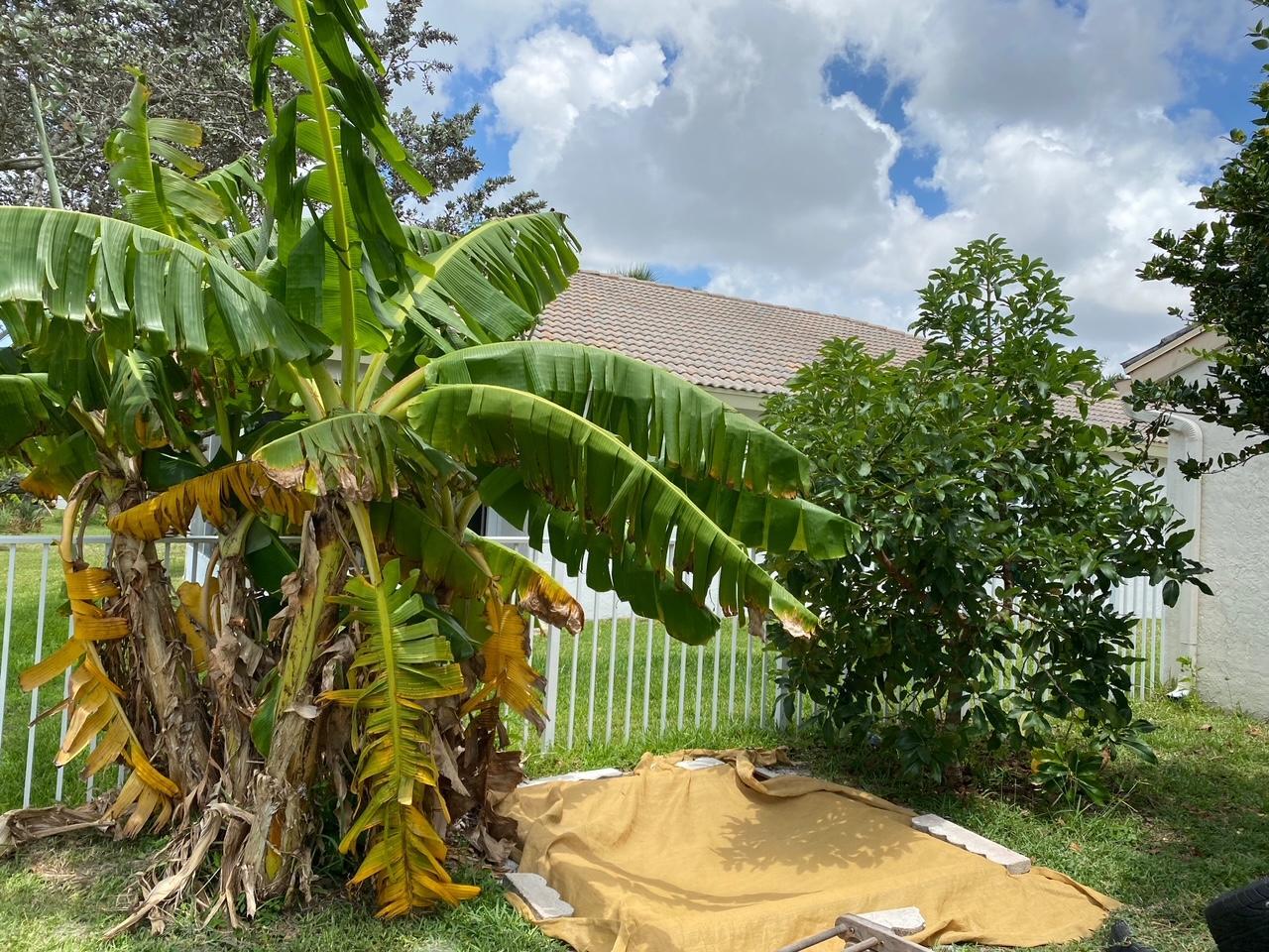 4080 Sea Grape Circle Property Photo 15