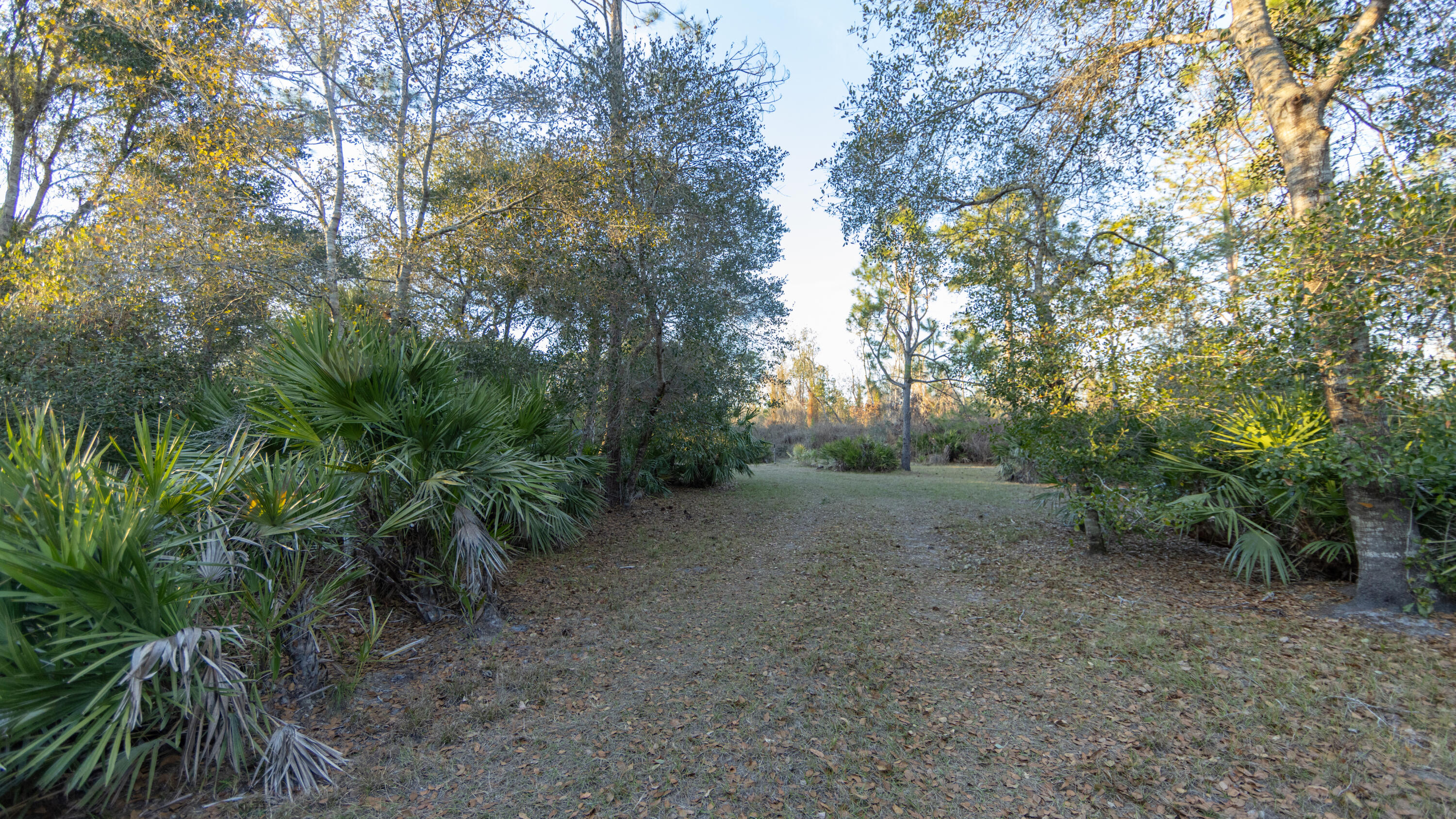 32801 Us Highway 441 N Property Photo 6
