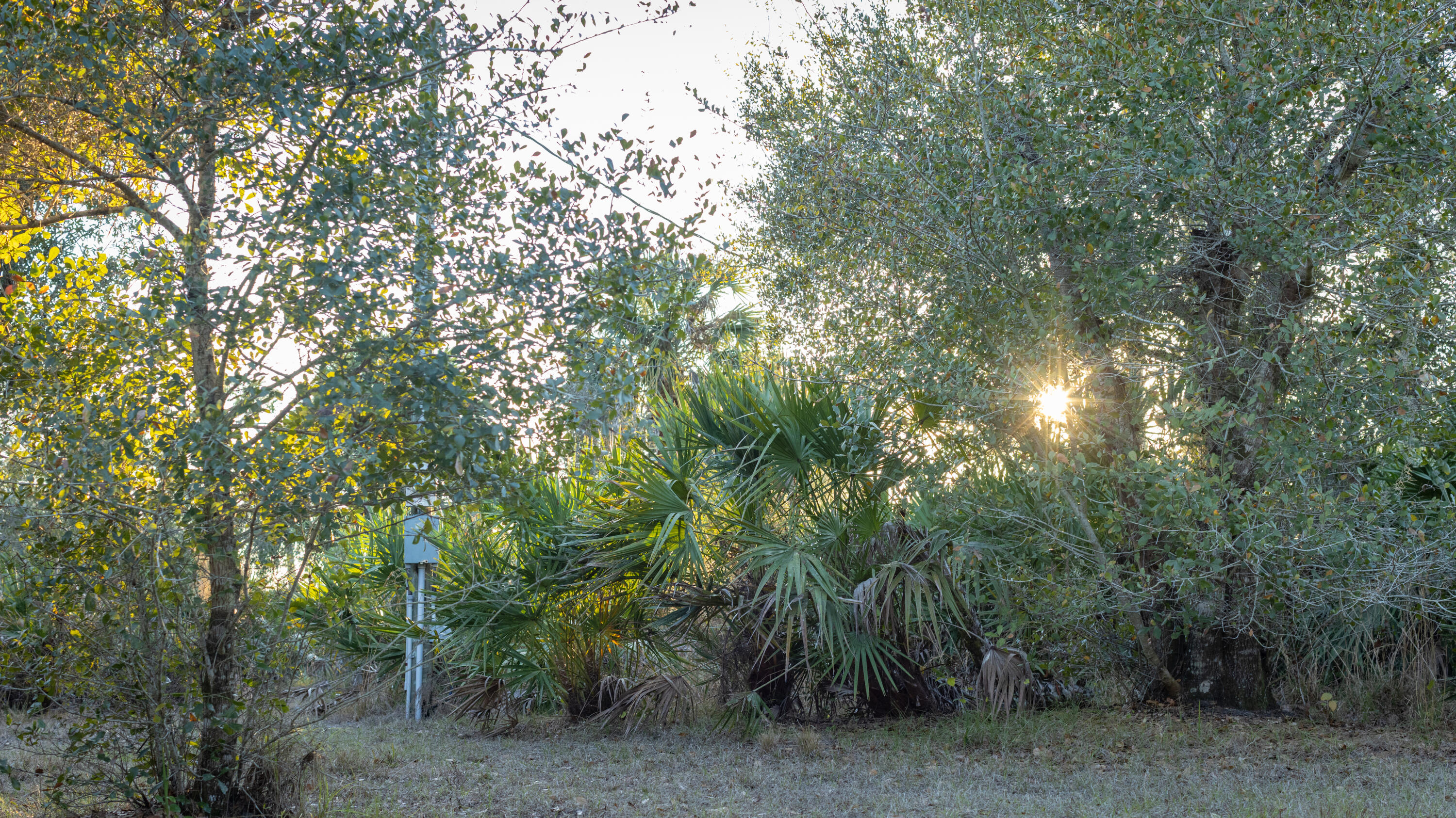 32801 Us Highway 441 N Property Photo 15