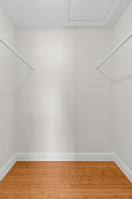 4610 Pine Tree Drive Property Photo 14