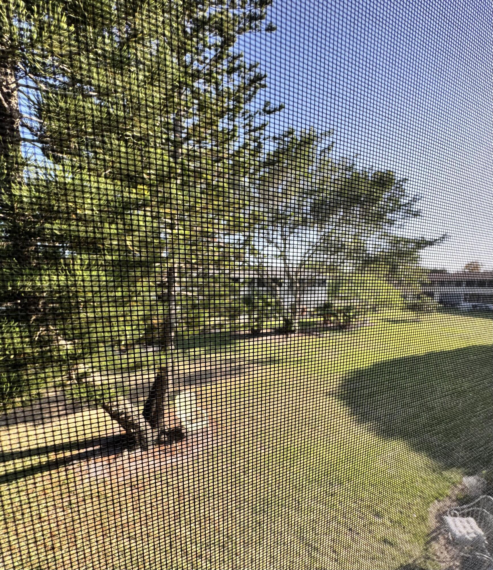 218 Kent M M Property Photo 17