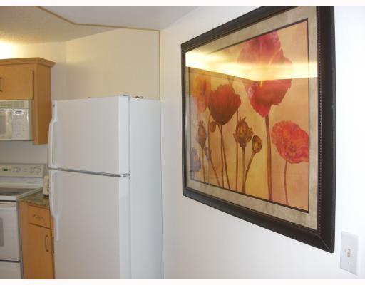 200 Leslie Drive Property Photo 12