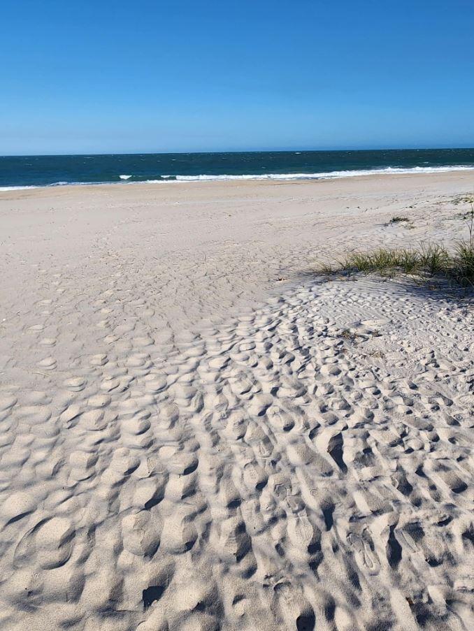 5167 N Highway A1a 201 Property Photo 33
