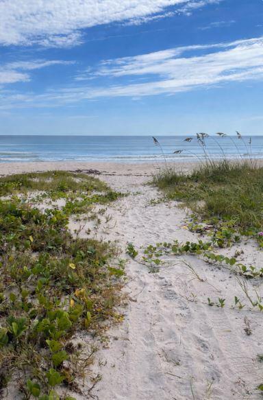 5167 N Highway A1a 201 Property Photo 34