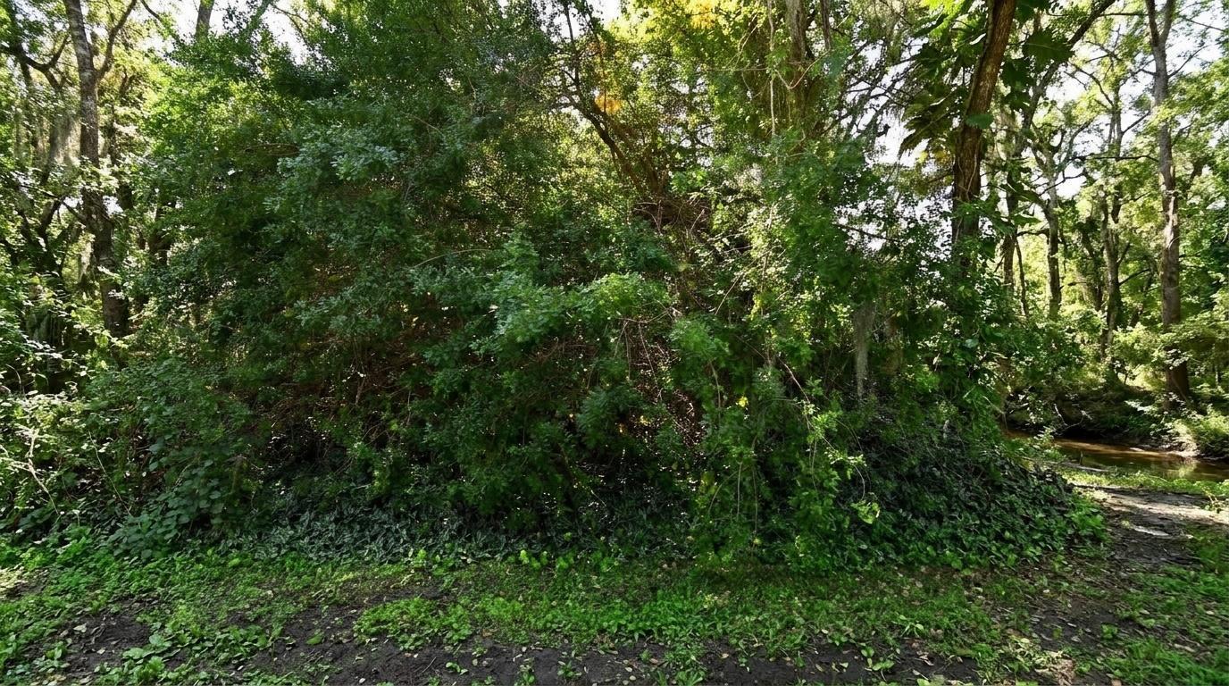 7907 SANTA CLARA Boulevard Property Photo 1