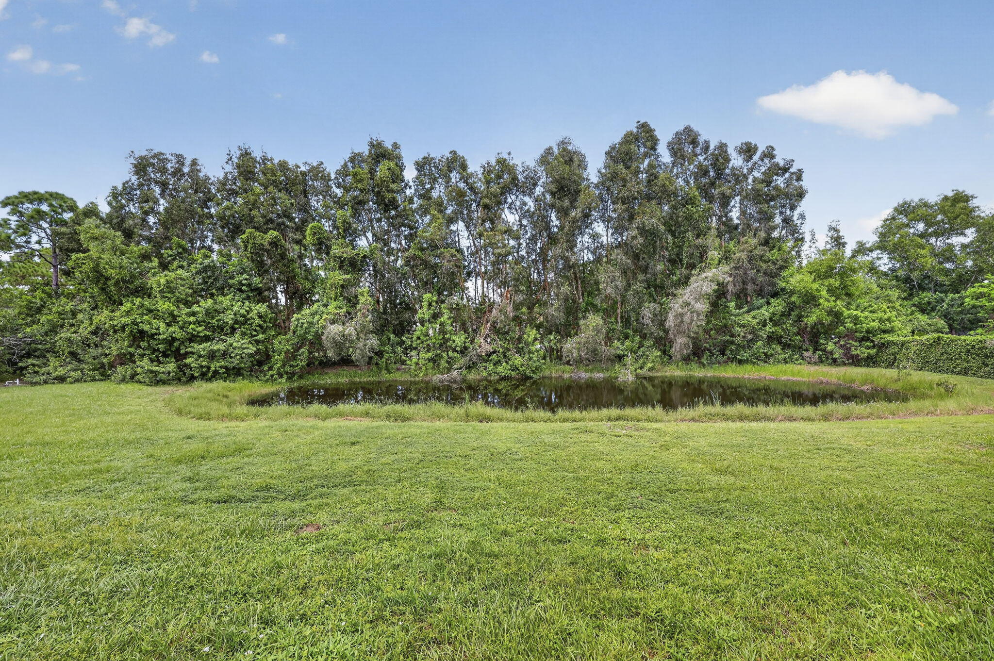 18725 43rd Road N Property Photo 43