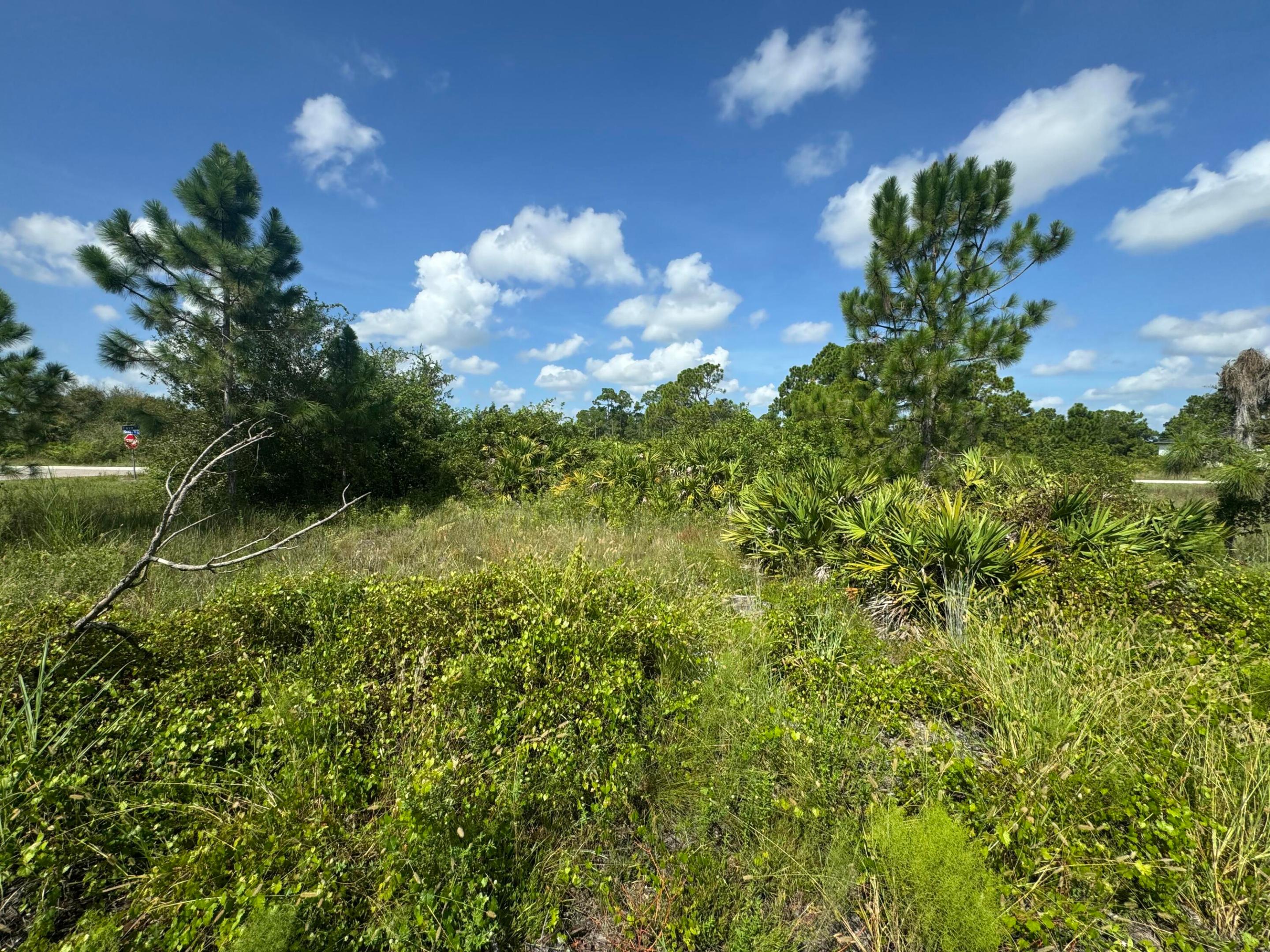 1107 Cove Street E Property Photo 5