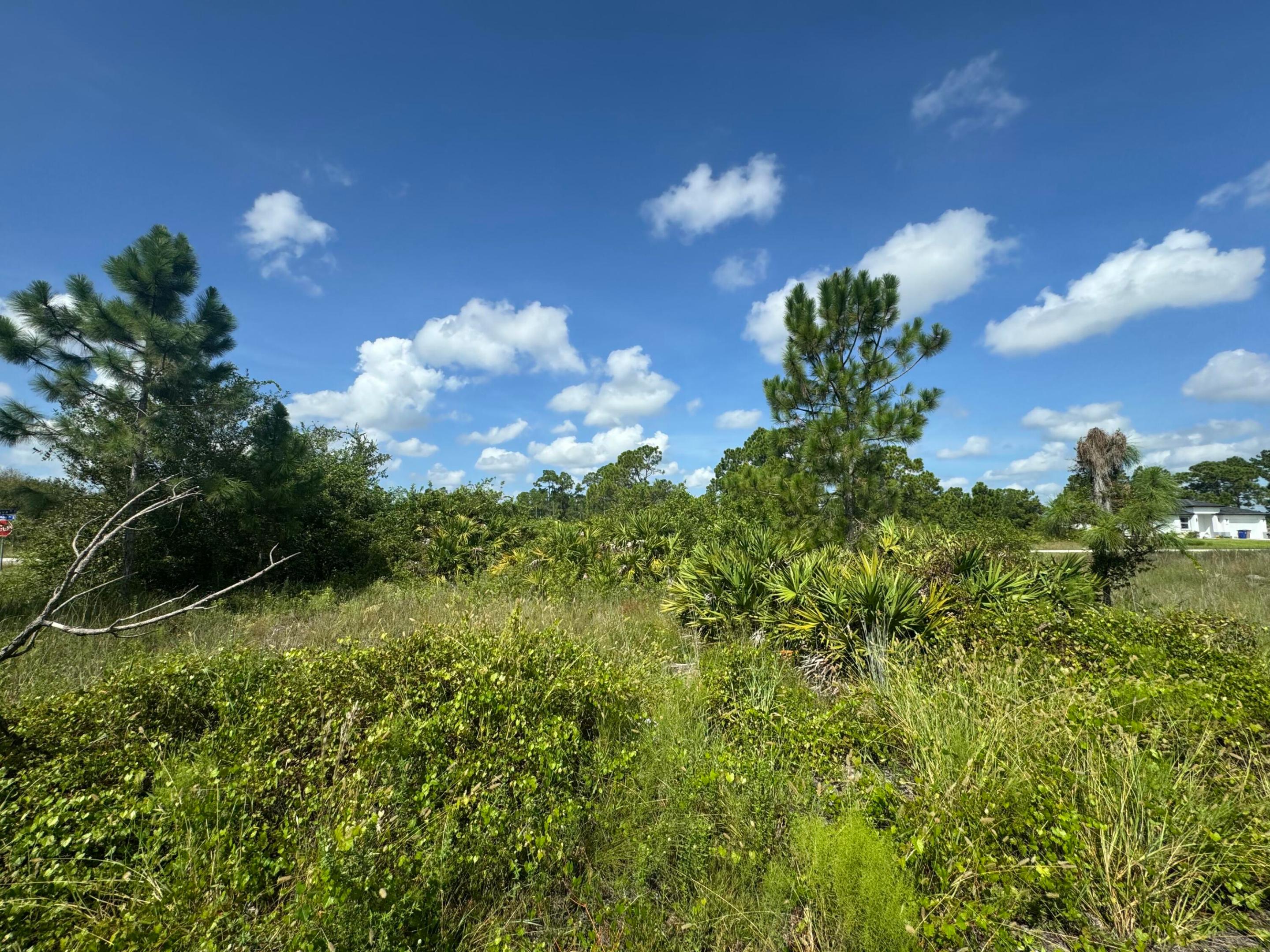 1107 Cove Street E Property Photo 6