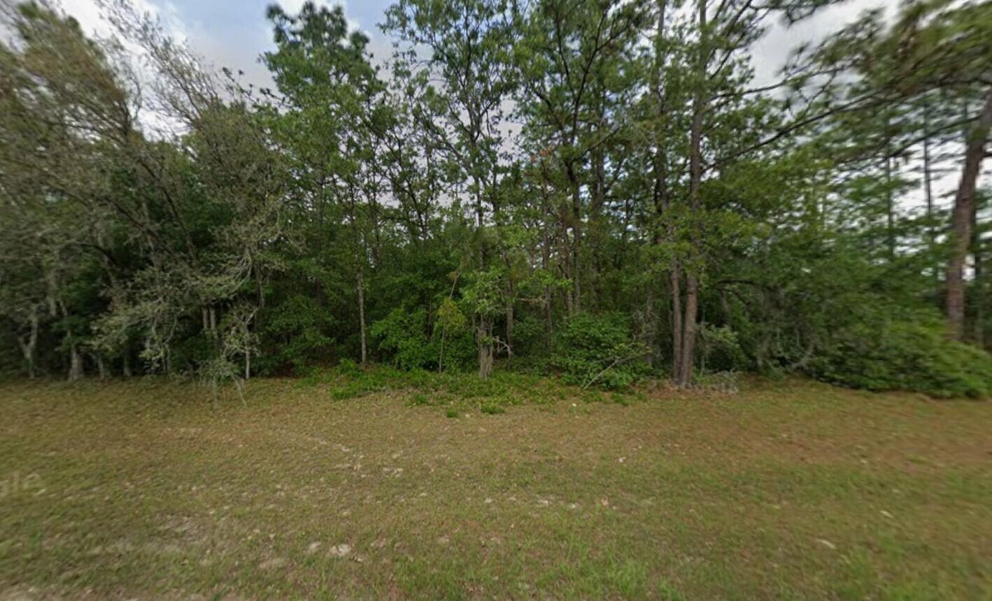 0 Sw 60th Circle Property Photo 2