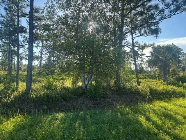 0 N Hwy 441 Property Photo 1