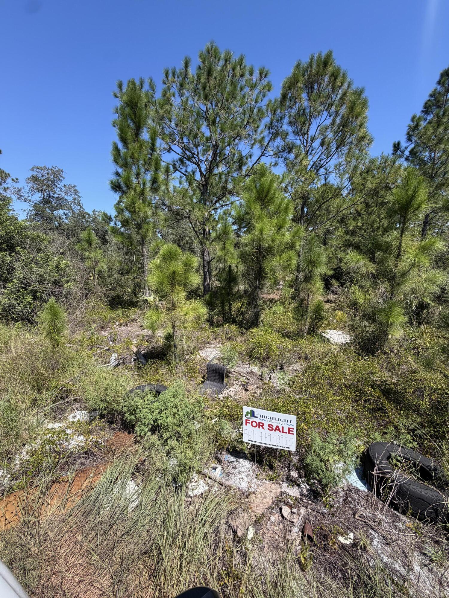 375 CONCERT Drive Property Photo 1