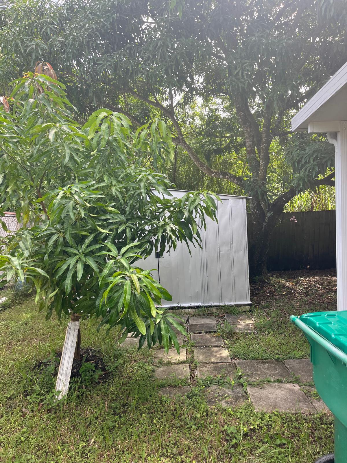 23700 Sw 115th Avenue Property Photo 5
