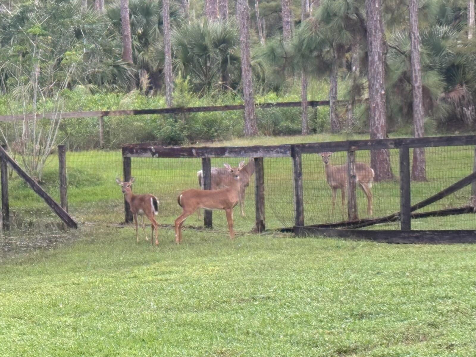 5637 COUGARS PROWL Property Photo 1