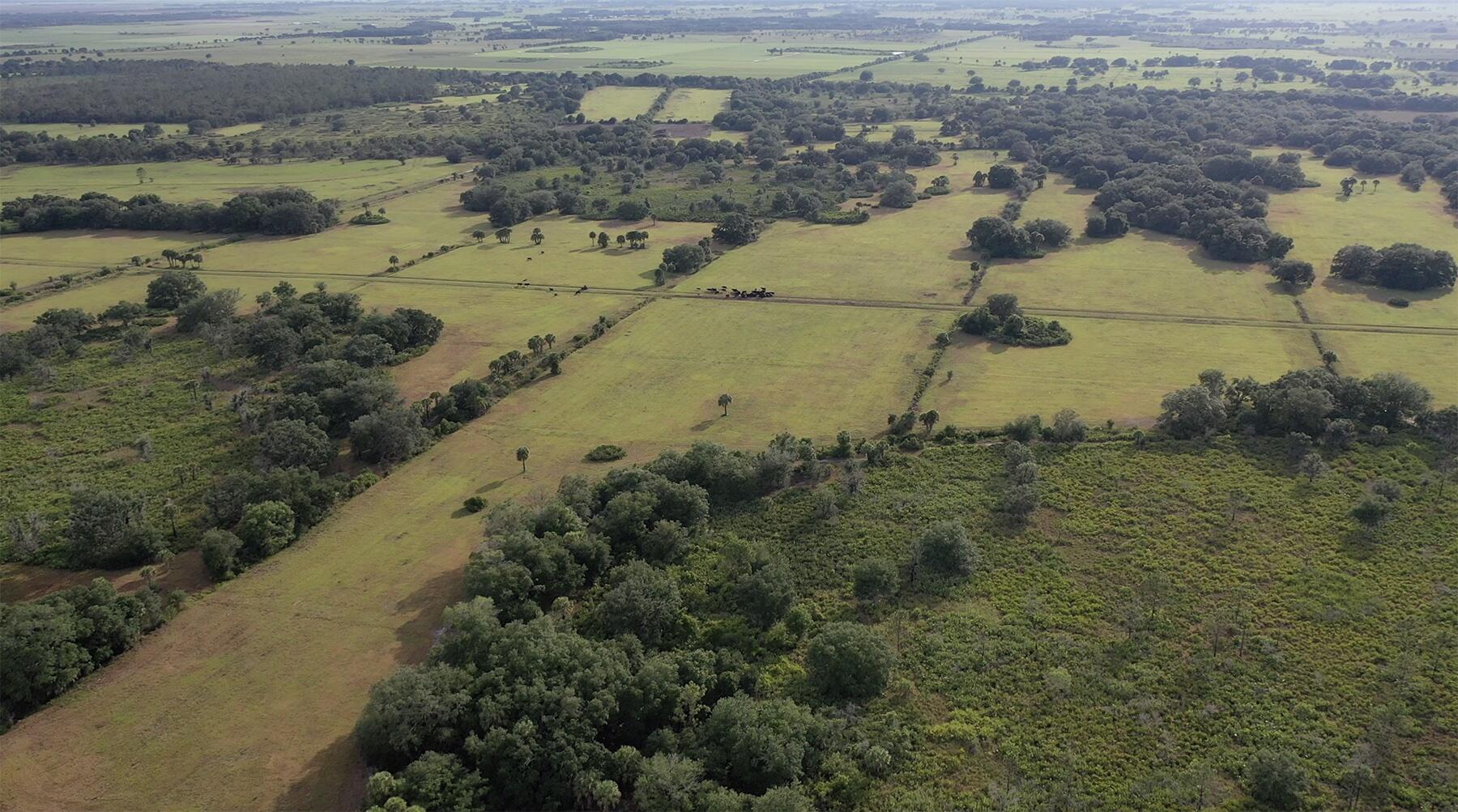 32801 Us Highway 441 N 121 Property Photo 54
