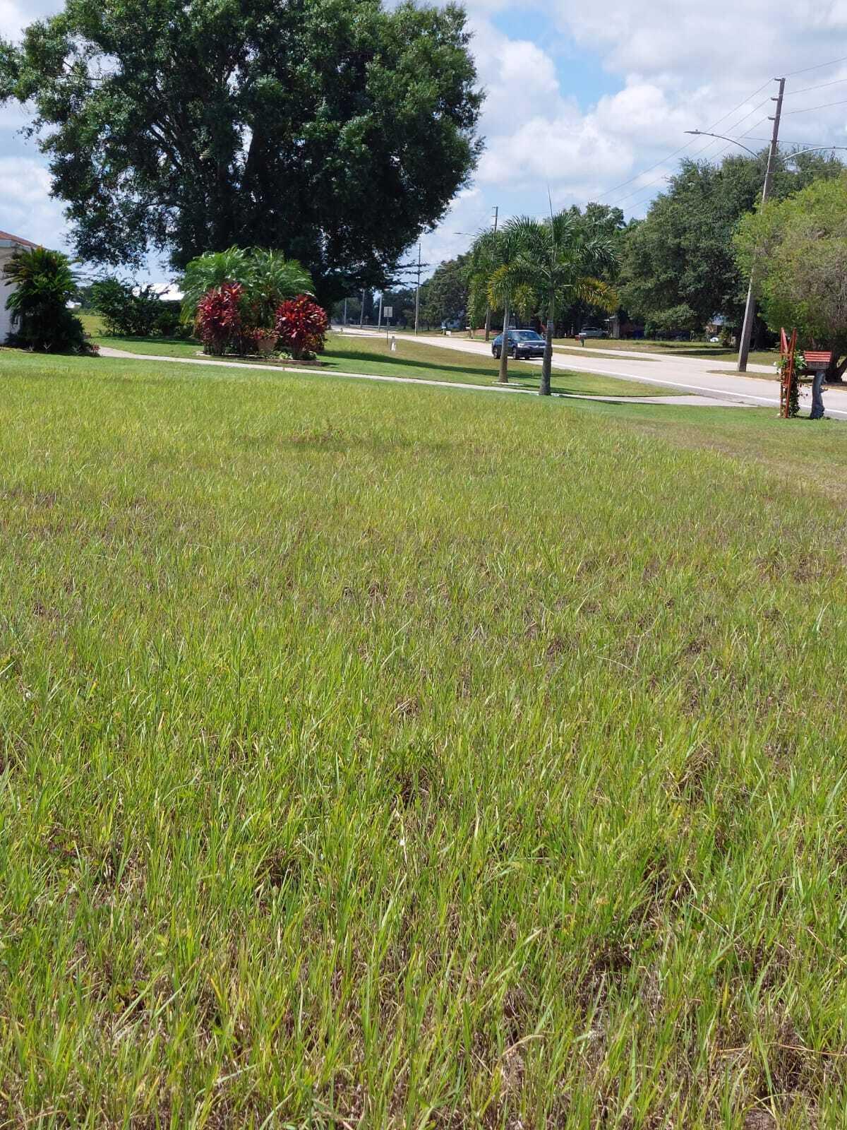 7924 Castile Road Property Photo 3