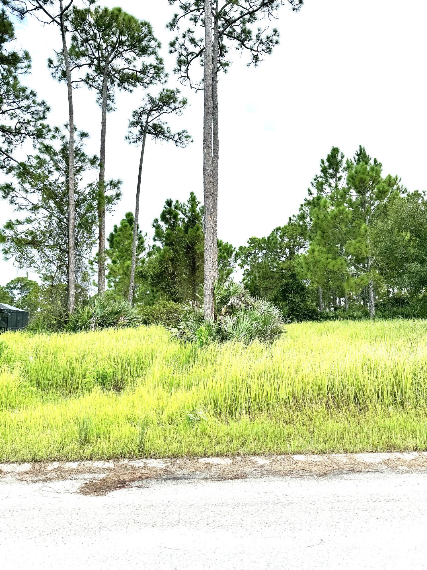 10615 Sugar Pine Drive Property Photo 4