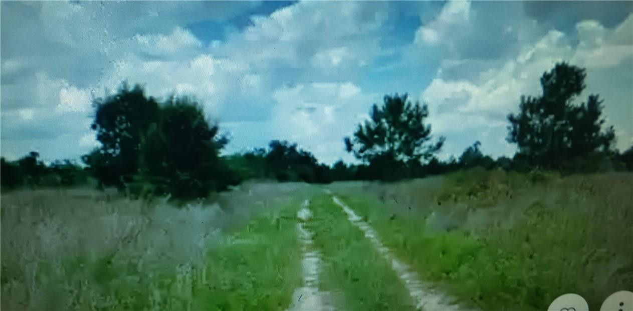 Lot D6 Palm Circle Property Photo 1