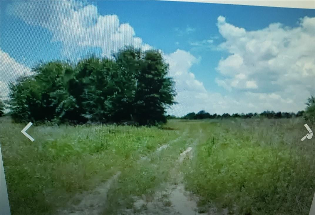 Lot D6 Palm Circle Property Photo 2