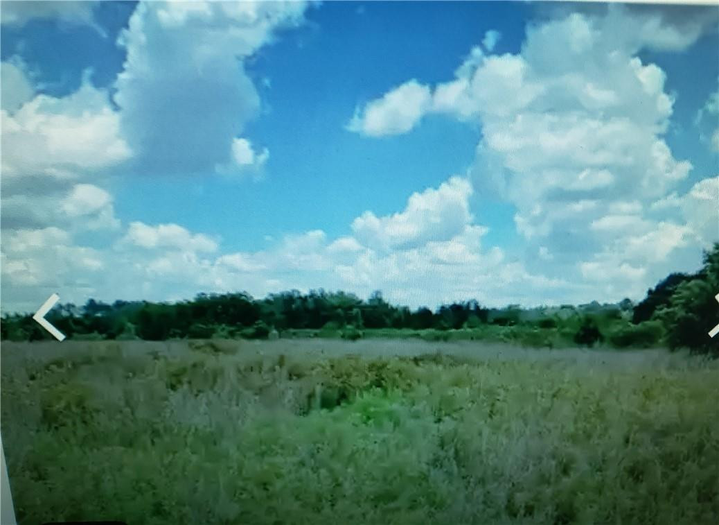 Lot D6 Palm Circle Property Photo 3