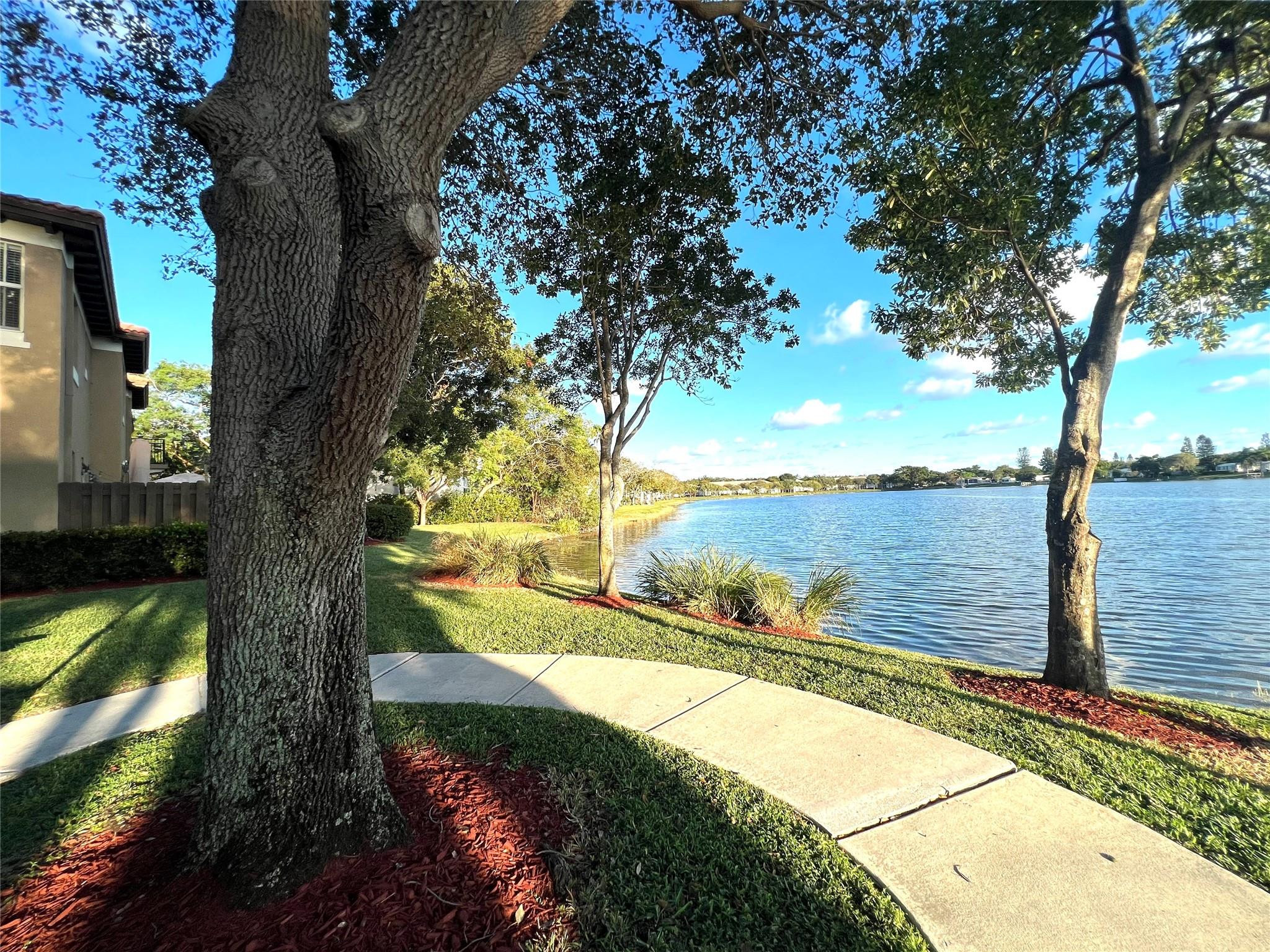 6927 Julia Gardens Drive Property Photo 31