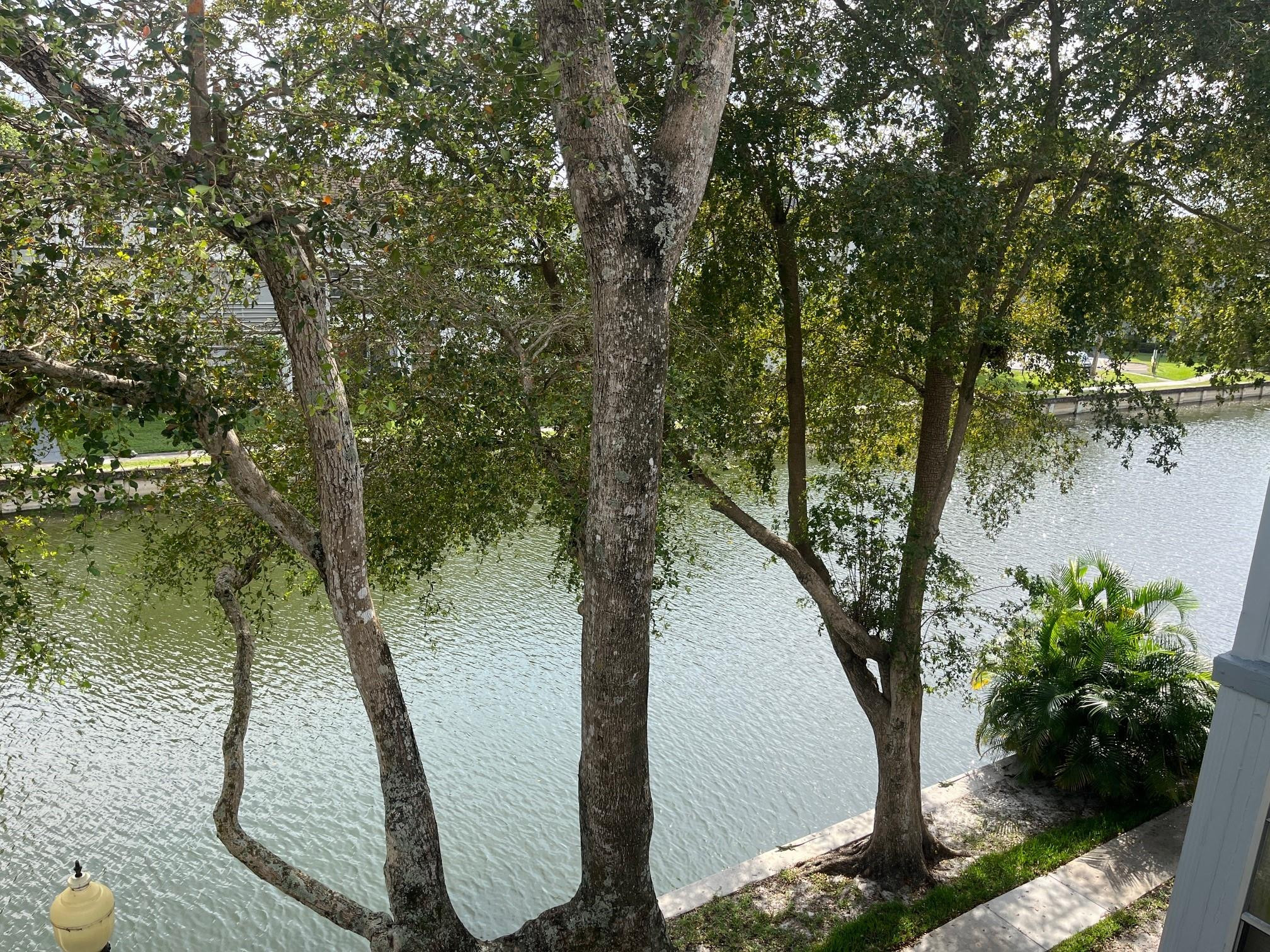 8360 Sands Point Boulevard 305 Property Photo 4