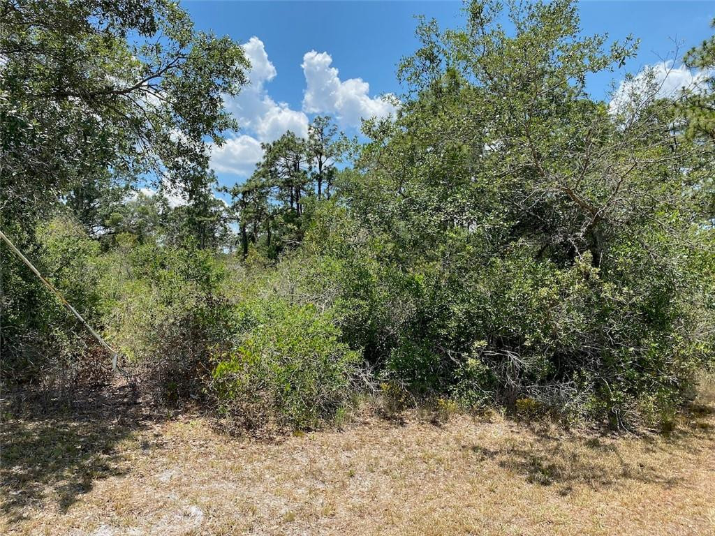 Lot 24 Indian Lake Drive Property Photo 6