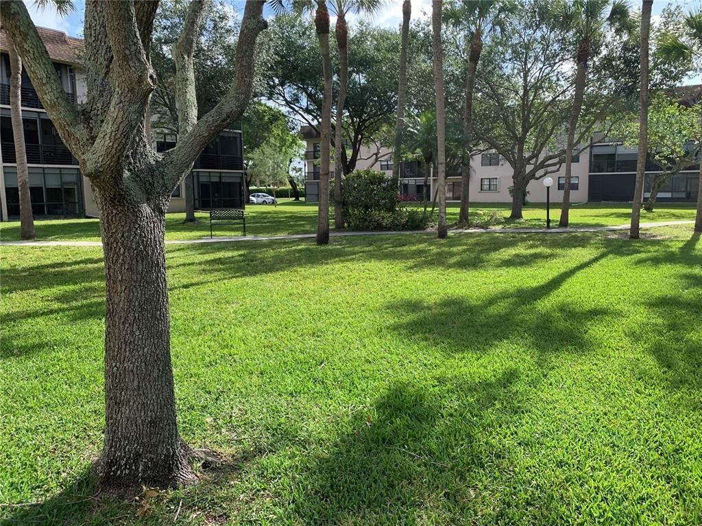 6095 N Sabal Palm Boulevard 212 Property Photo 33