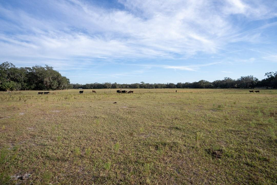 0 Lake Hatcheneha Property Photo 2