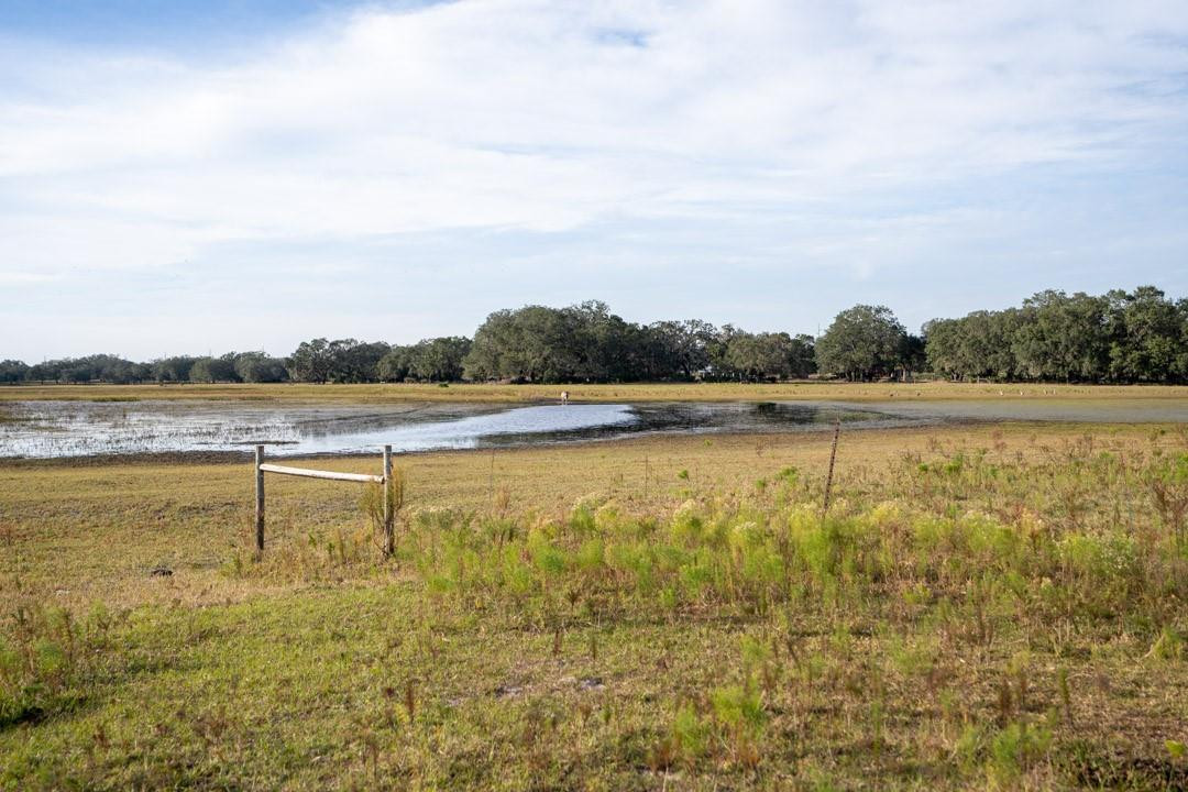 0 Lake Hatcheneha Property Photo 3