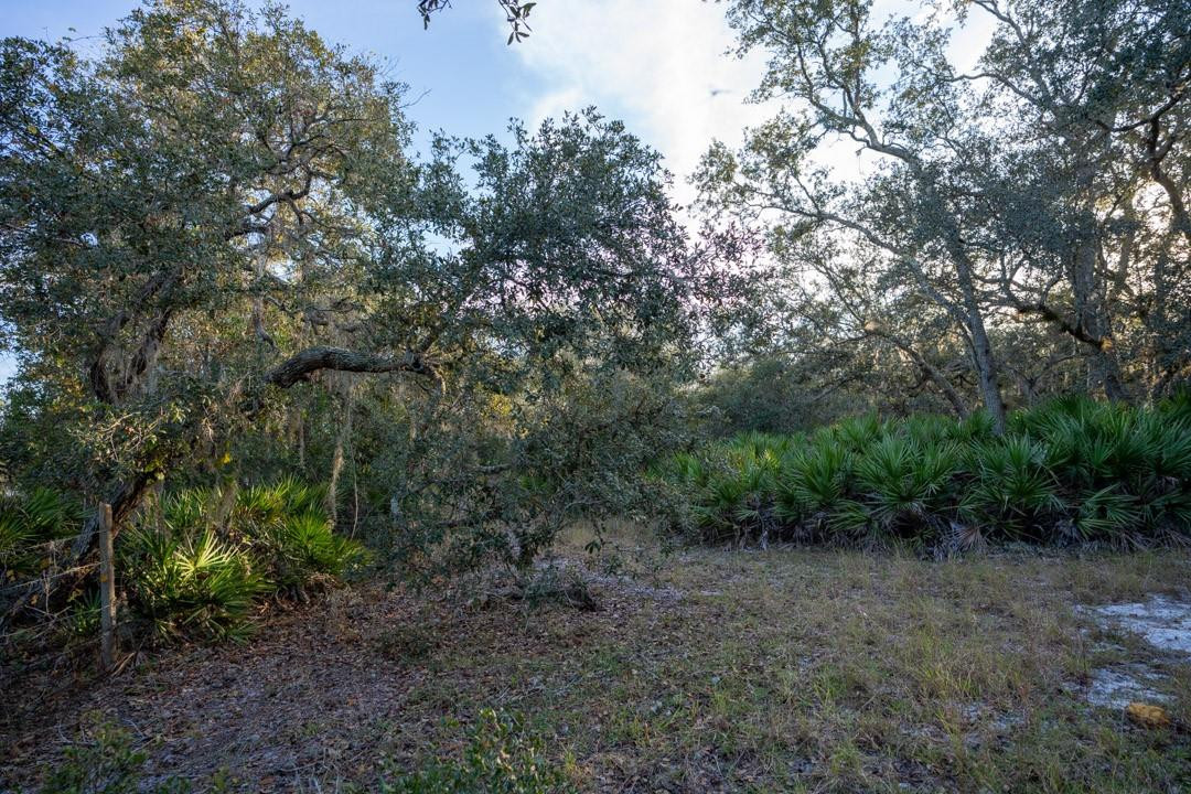 0 Lake Hatcheneha Property Photo 17