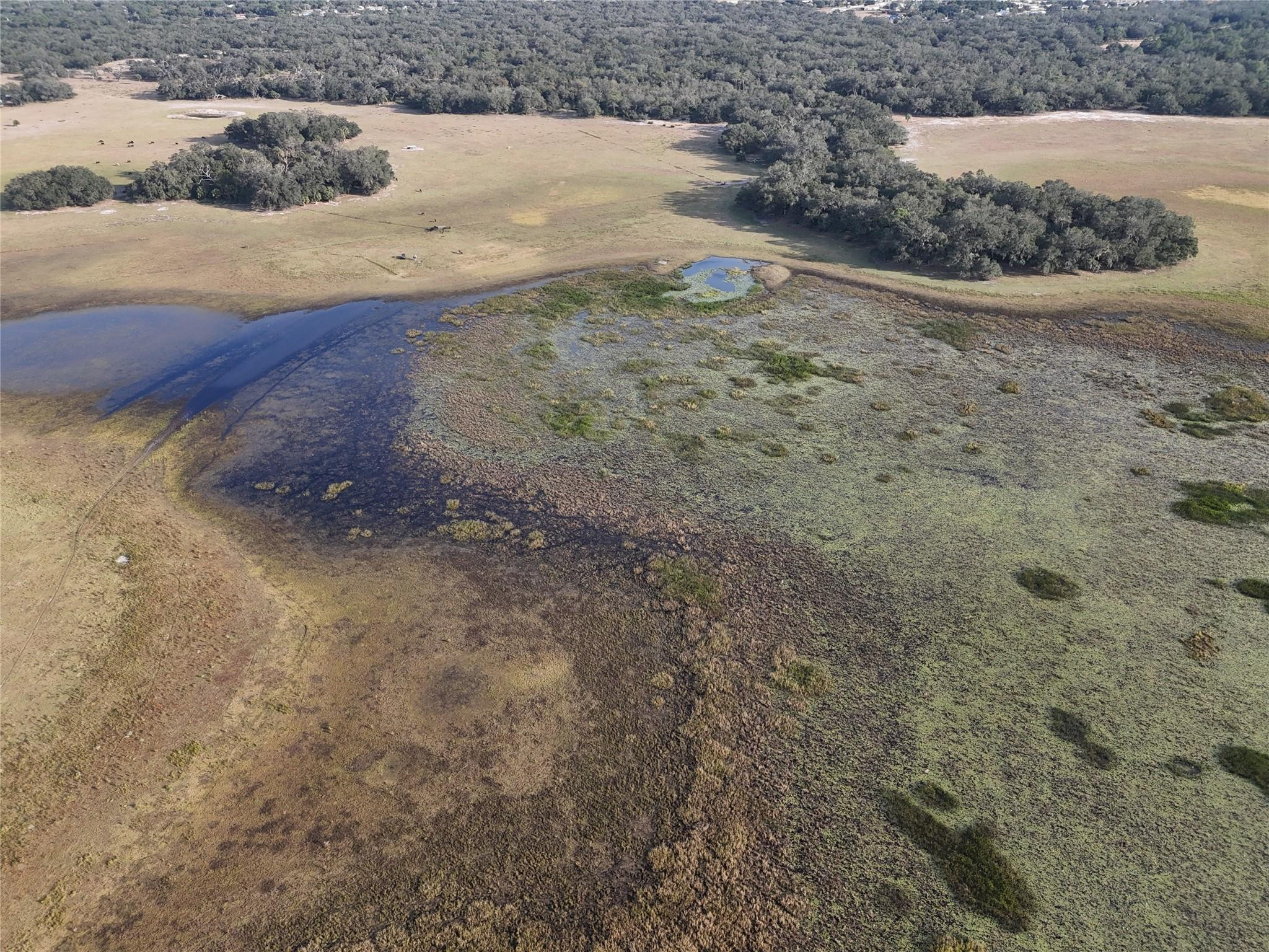 0 Lake Hatcheneha Property Photo 20