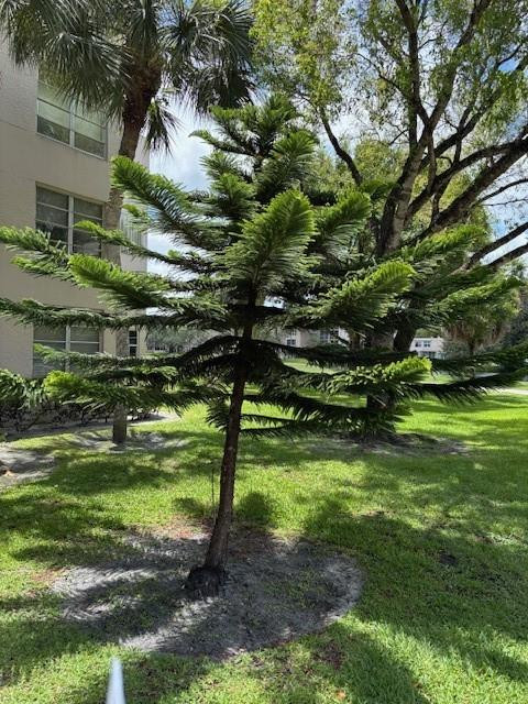 1811 Sabal Palm 405 Property Photo 56
