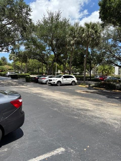 1811 Sabal Palm 405 Property Photo 57