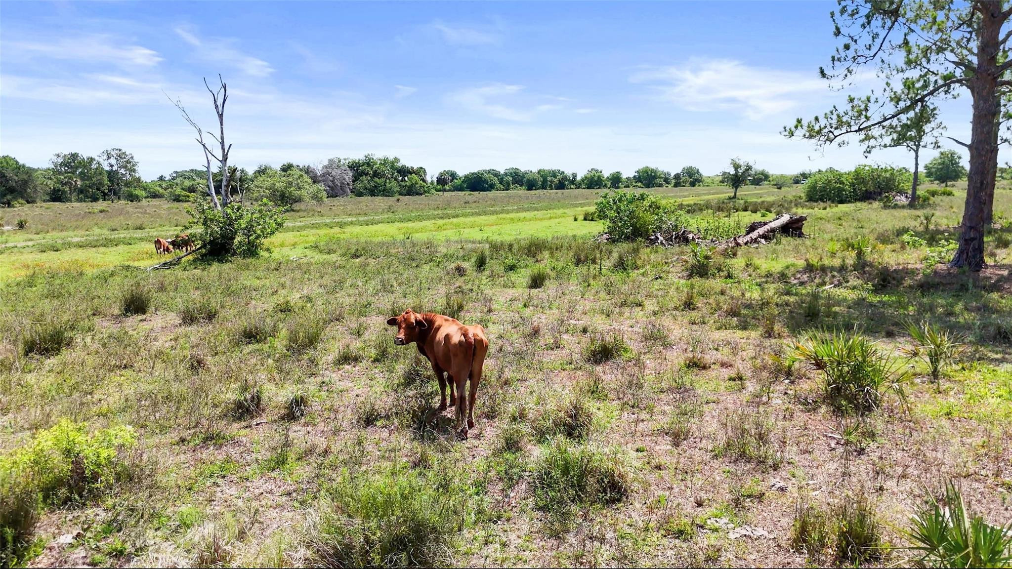 2777 Everhigh Acres Road Property Photo 15