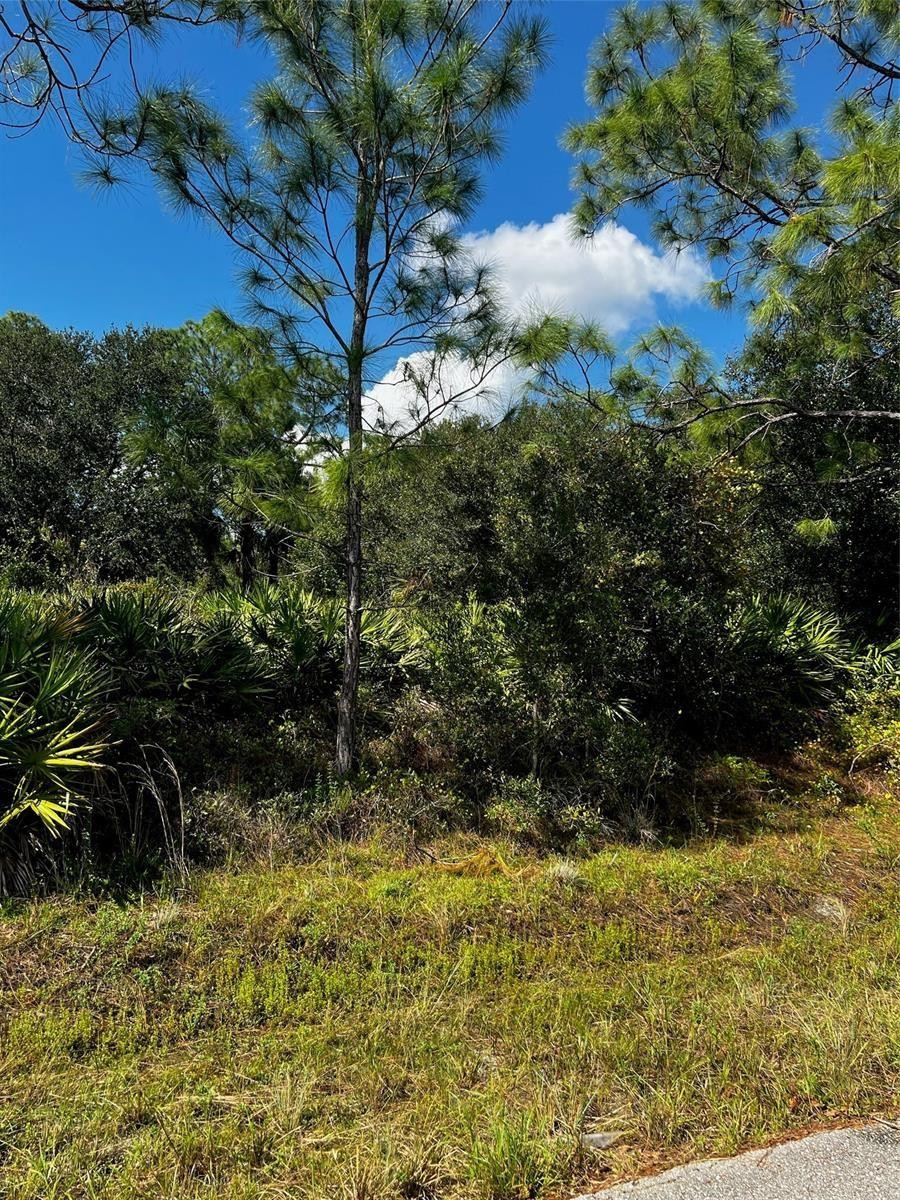 1221 Hamilton Avenue Property Photo 3