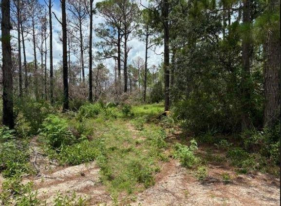 328 Claverton Drive Property Photo 1