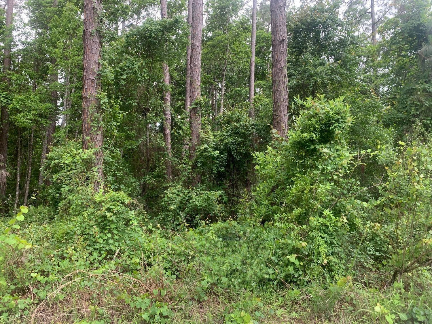 121 Coot Drive Property Photo 1